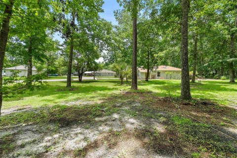 Land in Palm Coast, Florida № 1784831 - photo 4