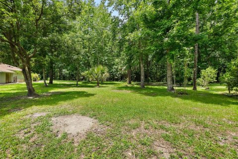 Land in Palm Coast, Florida № 1784831 - photo 3