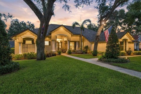 Villa ou maison à Valrico, Floride 5 chambres, 339.46 m2 № 2375877