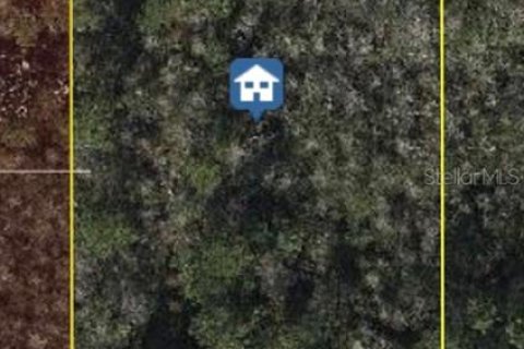 Land in Orlando, Florida № 1834649 - photo 1