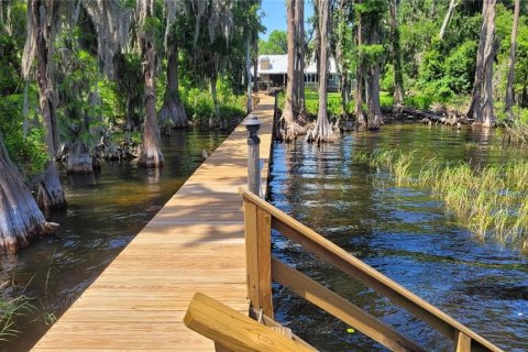 Land in Earleton, Florida № 1680993 - photo 20