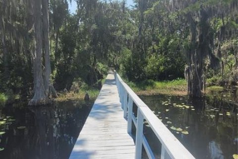 Land in Earleton, Florida № 1680993 - photo 9