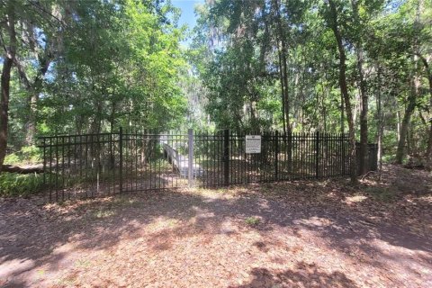 Land in Earleton, Florida № 1680993 - photo 11