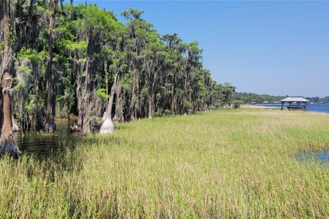 Land in Earleton, Florida № 1680993 - photo 16