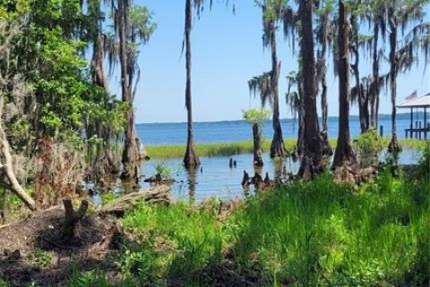 Land in Earleton, Florida № 1680993 - photo 13