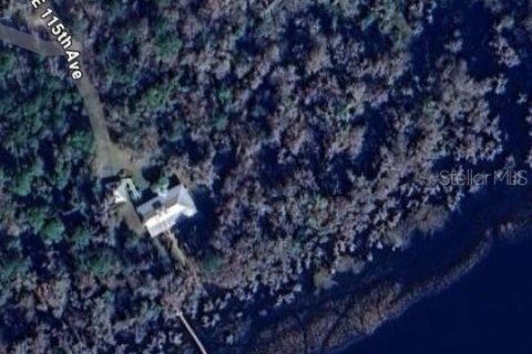 Land in Earleton, Florida № 1680993 - photo 3