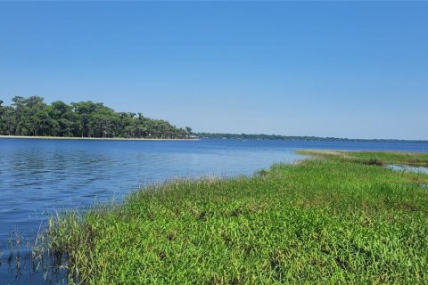 Land in Earleton, Florida № 1680993 - photo 6