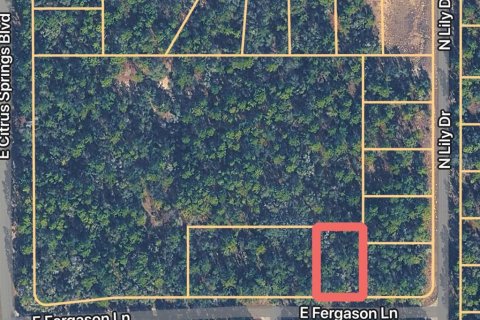Land in Dunnellon, Florida № 2163252