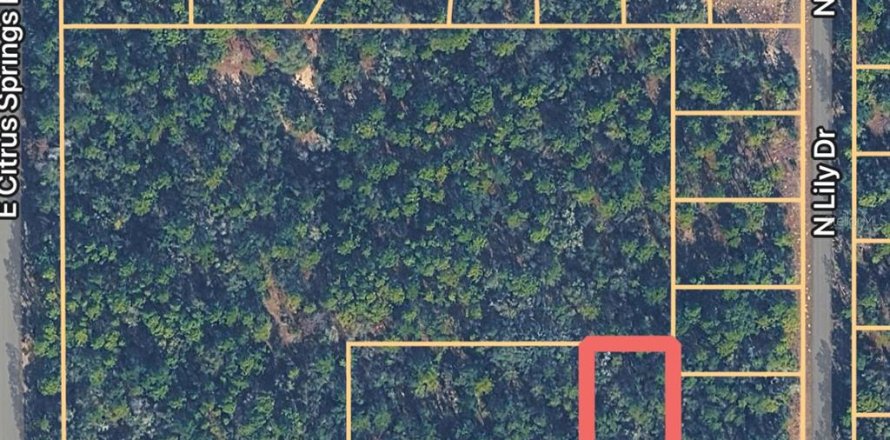 Terrain à Dunnellon, Floride № 2163252