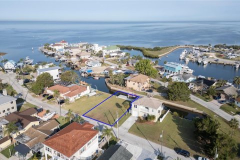 Land in Hudson, Florida № 1524922 - photo 3