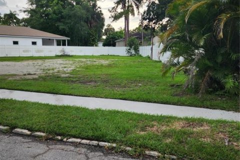 Land in Bradenton, Florida № 1815161 - photo 1