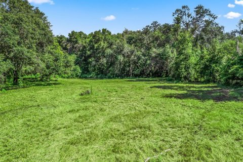 Купить земельный участок в Вейрсдейл, Флорида № 1901150 - фото 11