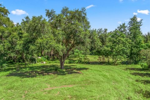 Купить земельный участок в Вейрсдейл, Флорида № 1901150 - фото 12