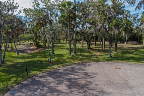 Land in Port Richey, Florida № 1535135 - photo 14