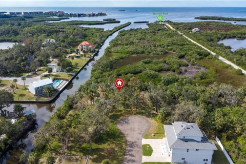 Land in Port Richey, Florida № 1535135 - photo 8
