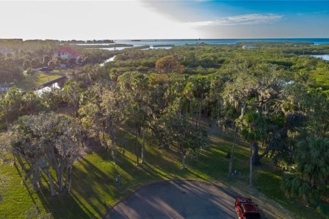 Land in Port Richey, Florida № 1535135 - photo 16