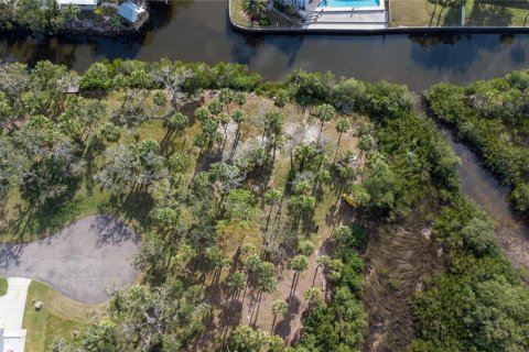Land in Port Richey, Florida № 1535135 - photo 9