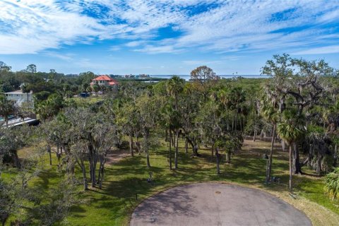 Land in Port Richey, Florida № 1535135 - photo 4