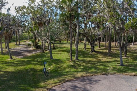 Land in Port Richey, Florida № 1535135 - photo 13