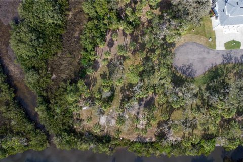 Land in Port Richey, Florida № 1535135 - photo 11