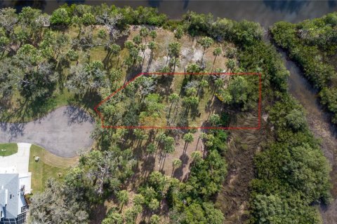 Land in Port Richey, Florida № 1535135 - photo 10