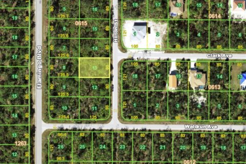Land in Port Charlotte, Florida № 2229035 - photo 2