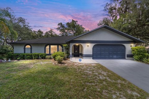 Villa ou maison à vendre à Ocklawaha, Floride: 3 chambres, 195.65 m2 № 1873865 - photo 1
