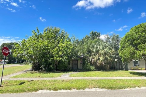 Land in Saint Petersburg, Florida № 1899690 - photo 10