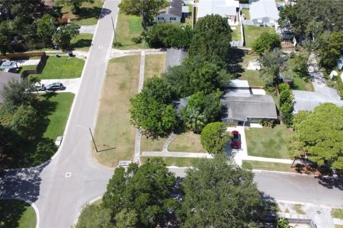 Land in Saint Petersburg, Florida № 1899690 - photo 16