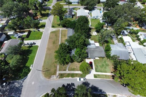 Land in Saint Petersburg, Florida № 1899690 - photo 5