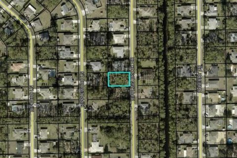 Land in Palm Coast, Florida № 1580547 - photo 2
