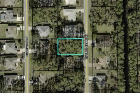 Land in Palm Coast, Florida № 1580547 - photo 3