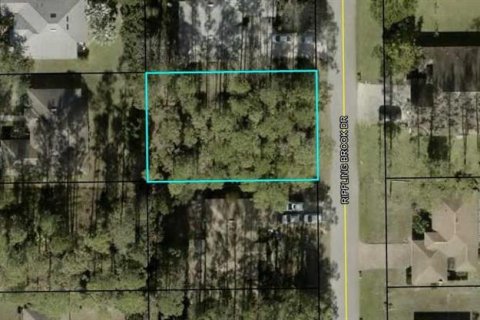 Land in Palm Coast, Florida № 1580547 - photo 1