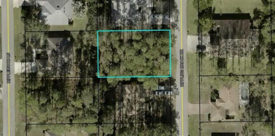 Land in Palm Coast, Florida № 1580547
