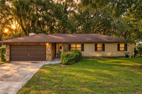 Villa ou maison à Auburndale, Floride 3 chambres, 174.28 m2 № 2348132