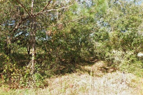 Land in Kissimmee, Florida № 1917181 - photo 2