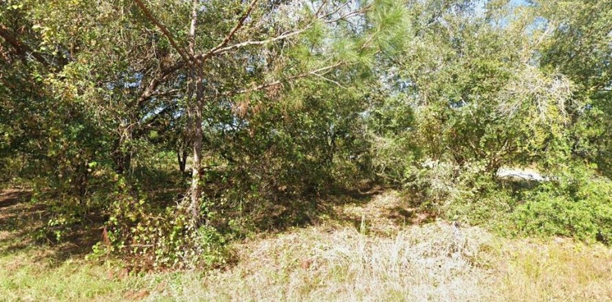 Land in Kissimmee, Florida № 1917181