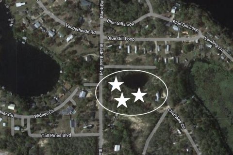 Land in De Funiak Springs, Florida № 559199 - photo 1