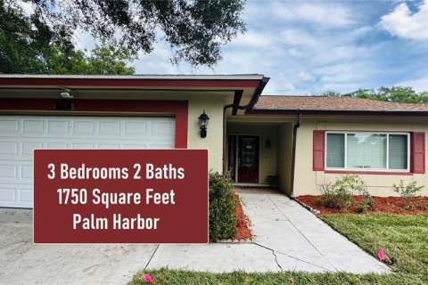 Villa ou maison à Palm Harbor, Floride 3 chambres, 162.58 m2 № 2308947