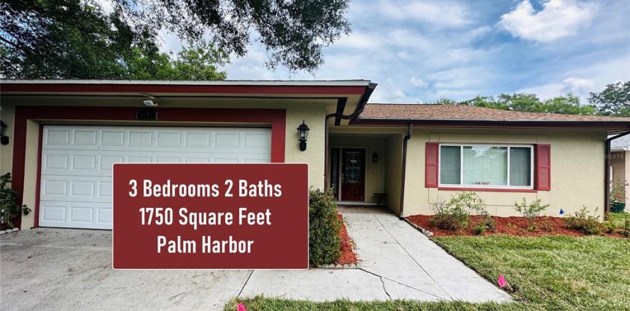 Villa ou maison à Palm Harbor, Floride 3 chambres, 162.58 m2 № 2308947
