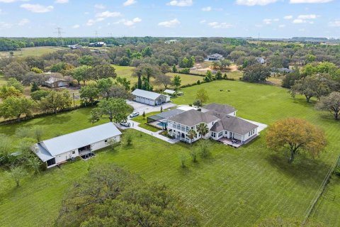 Villa ou maison à vendre à Winter Garden, Floride: 5 chambres, 562.34 m2 № 1613136 - photo 2