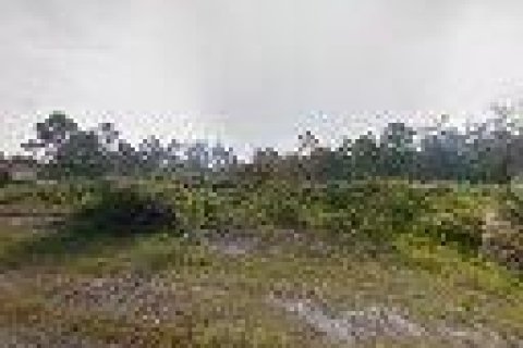 Land in Lehigh Acres, Florida № 892092 - photo 1