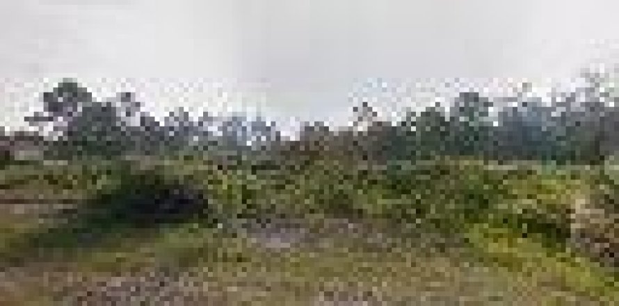 Land in Lehigh Acres, Florida № 892092