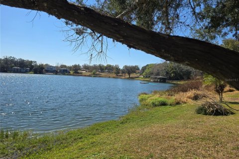 Land in Eustis, Florida № 2130291 - photo 5