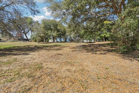 Land in Eustis, Florida № 2130291 - photo 16