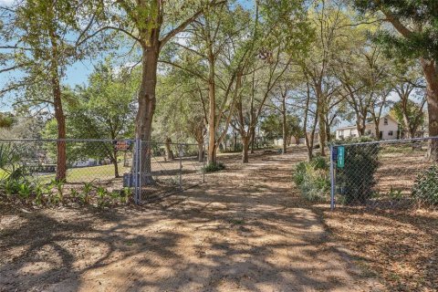 Land in Eustis, Florida № 2130291 - photo 9