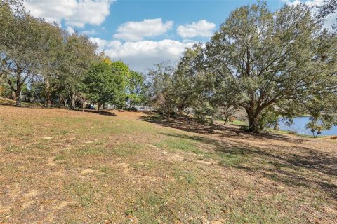 Land in Eustis, Florida № 2130291 - photo 14