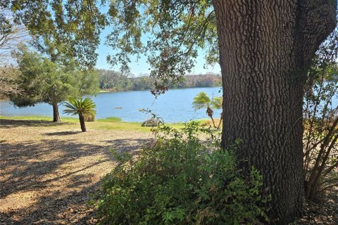 Land in Eustis, Florida № 2130291