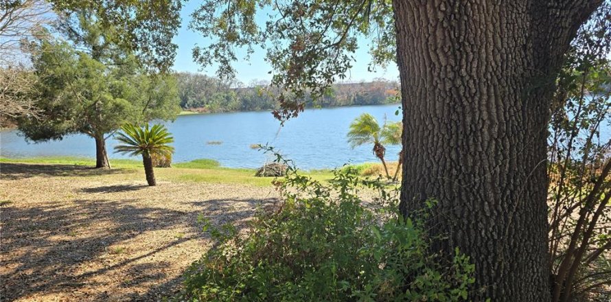 Land in Eustis, Florida № 2130291