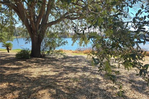 Land in Eustis, Florida № 2130291 - photo 7